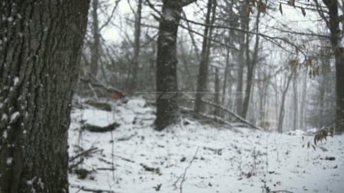 Slide 0
