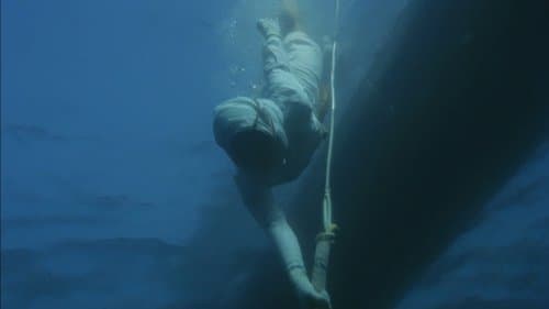 Slide 0