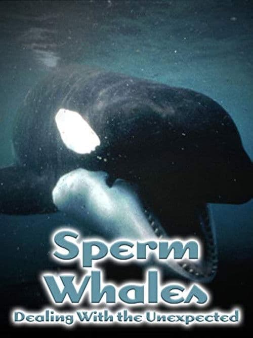 Sperm Whales: Dealing with the Unexpected